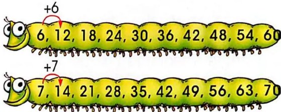 Figura 5 de Matematica · 3 EGB · 2025