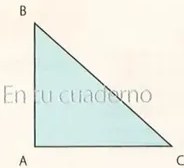Figura 4 de Matematica · 8 EGB · 2025