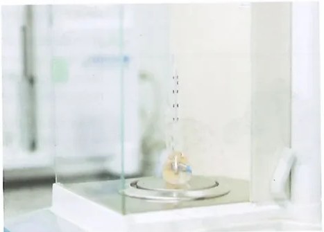 Figura 2 de Ciencias Naturales · 10 EGB · 2024