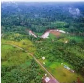 Selva amazónica deforestada vista aérea.