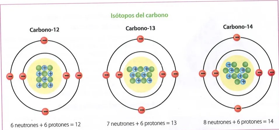 Figura 2 de Ciencias Naturales · 10 EGB · 2024