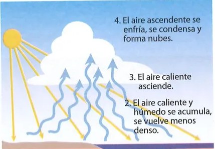 Figura 2 de Ciencias Naturales · 7 EGB · 2024