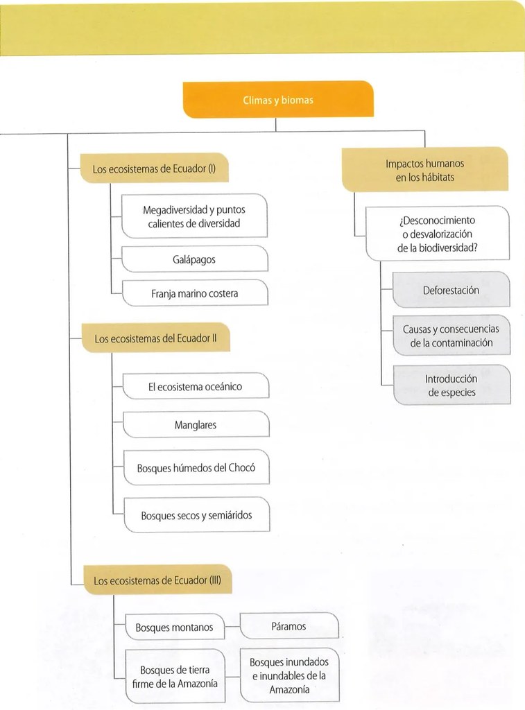 Figura 2 de Ciencias Naturales · 9 EGB · 2024