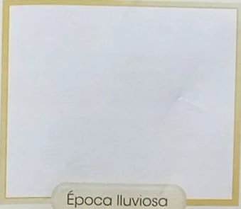 Figura 4 de Ciencias Naturales · 3 EGB · 2024