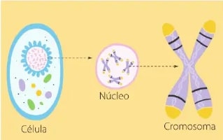 Figura 1 de Ciencias Naturales · 6 EGB · 2025