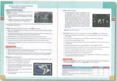 Figura 5 de Estudios Sociales · 10 EGB · 2025