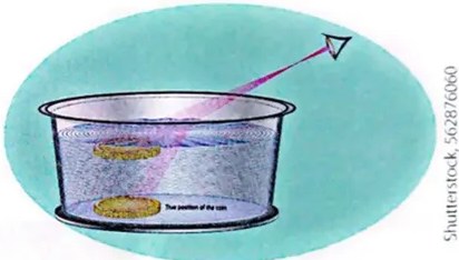 Figura 3 de Ciencias Naturales · 4 EGB · 2025