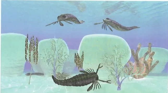 Pez lobulado del género Rhizodus, ancestro de los anfibios