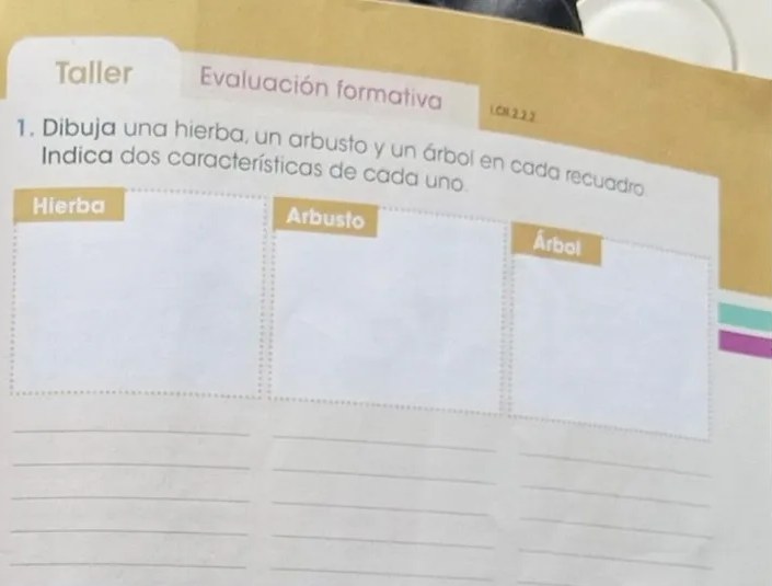 Figura 4 de Ciencias Naturales · 3 EGB · 2024