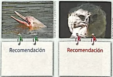 Figura 5 de Lengua Y Literatura · 4 EGB · 2024