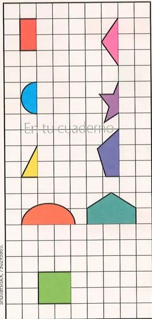 Figura 3 de Matematica · 8 EGB · 2025