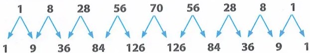 Figura 6 de Matematica · 9 EGB · 2025