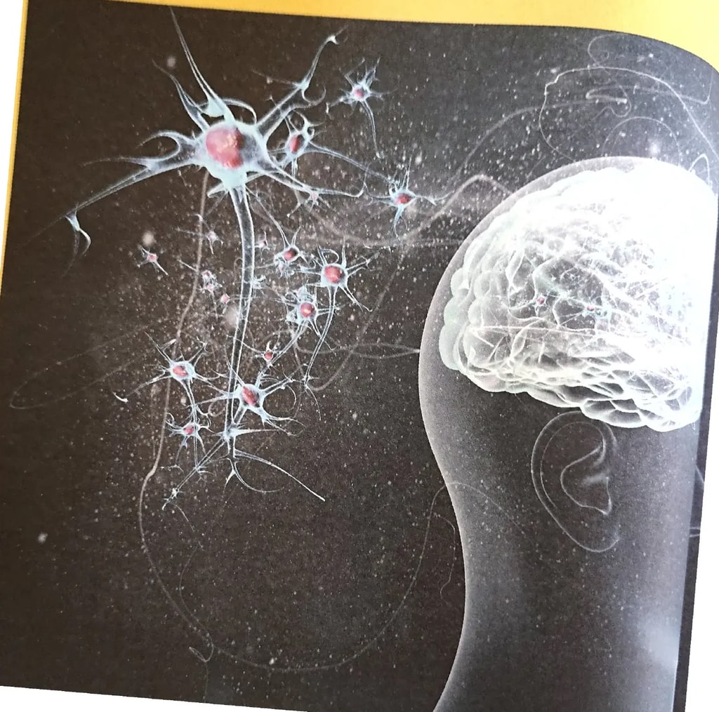Ilustración de red de neuronas con conexiones sinápticas iluminadas en blanco sobre fondo oscuro.