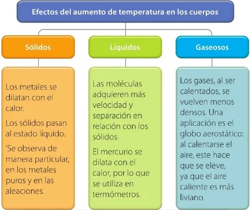 Figura 4 de Ciencias Naturales · 6 EGB · 2025