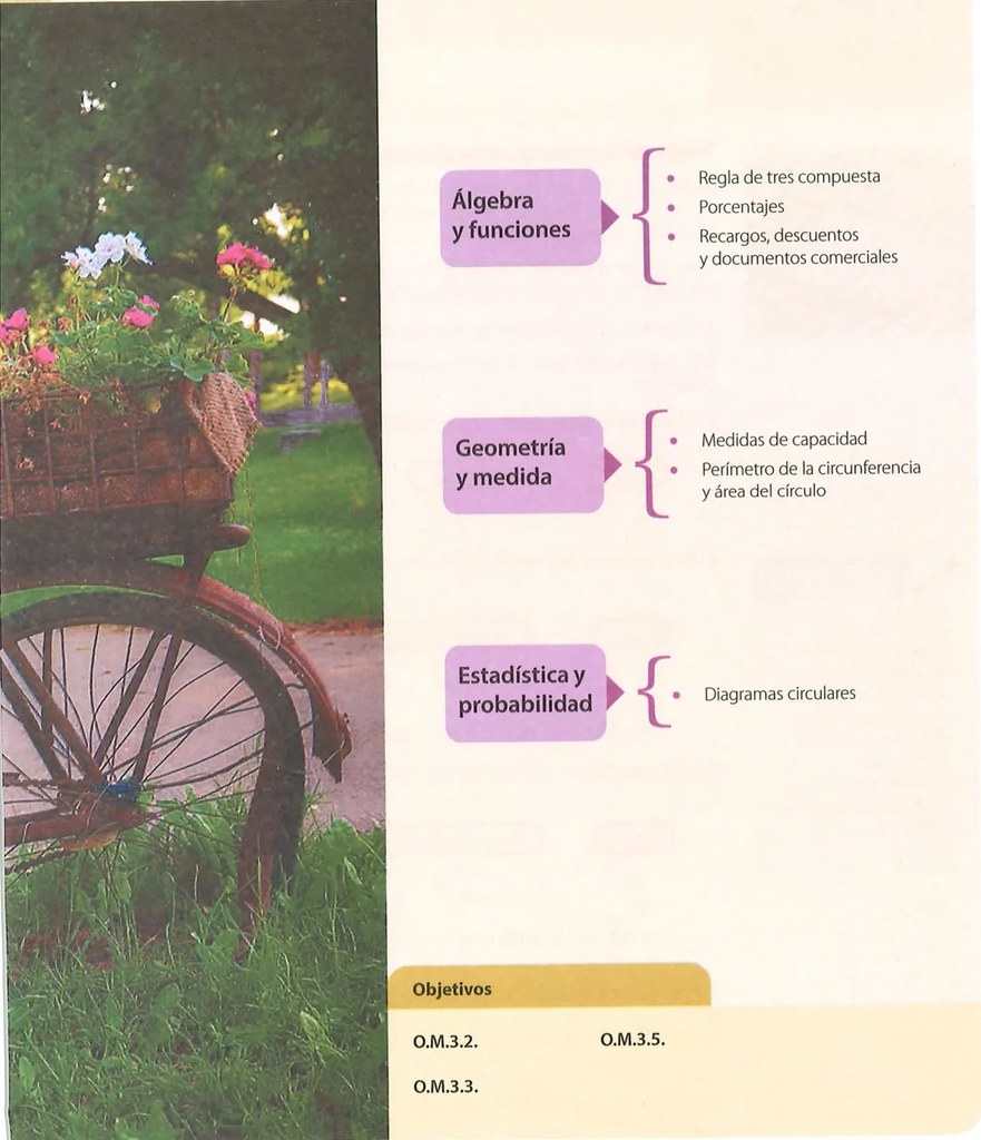 Figura 2 de Matematica · 7 EGB · 2024