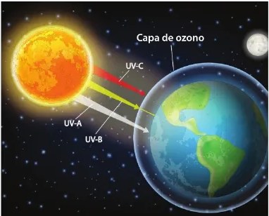 Figura 2 de Ciencias Naturales · 6 EGB · 2025