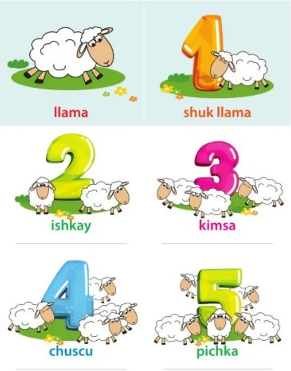 Grupos de osos con espacio para escribir frase kichwa.