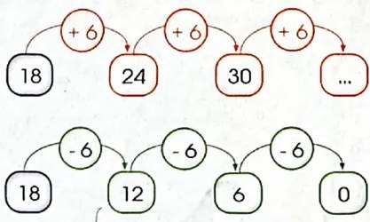 Figura 5 de Matematica · 4 EGB · 2024
