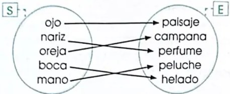 Figura 4 de Matematica · 4 EGB · 2024