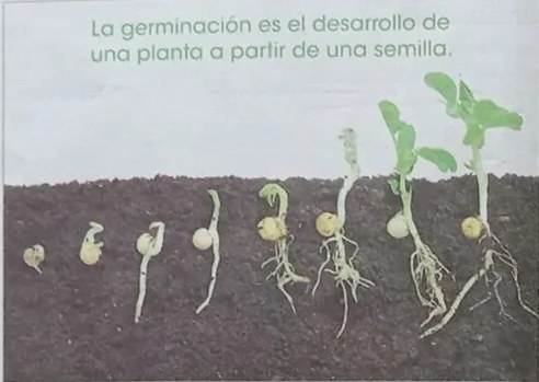 Esquema del 'Taller — Evaluación formativa' con cuatro cuadrados vacíos para que el estudiante dibuje las etapas.