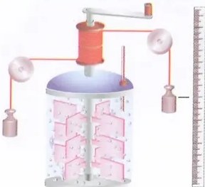 Figura 3 de Ciencias Naturales · 8 EGB · 2025