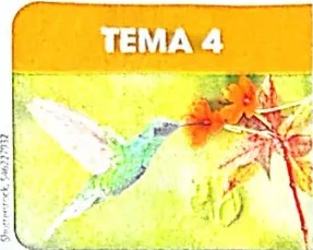 Figura 2 de Matematica · 4 EGB · 2024