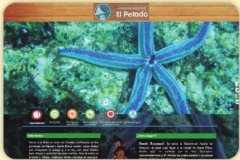 Figura 3 de Estudios Sociales · 6 EGB · 2025