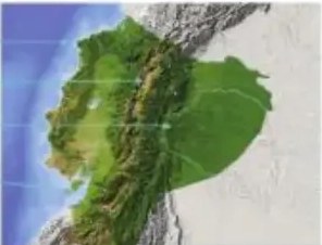 Figura 3 de Ciencias Naturales · 5 EGB · 2024