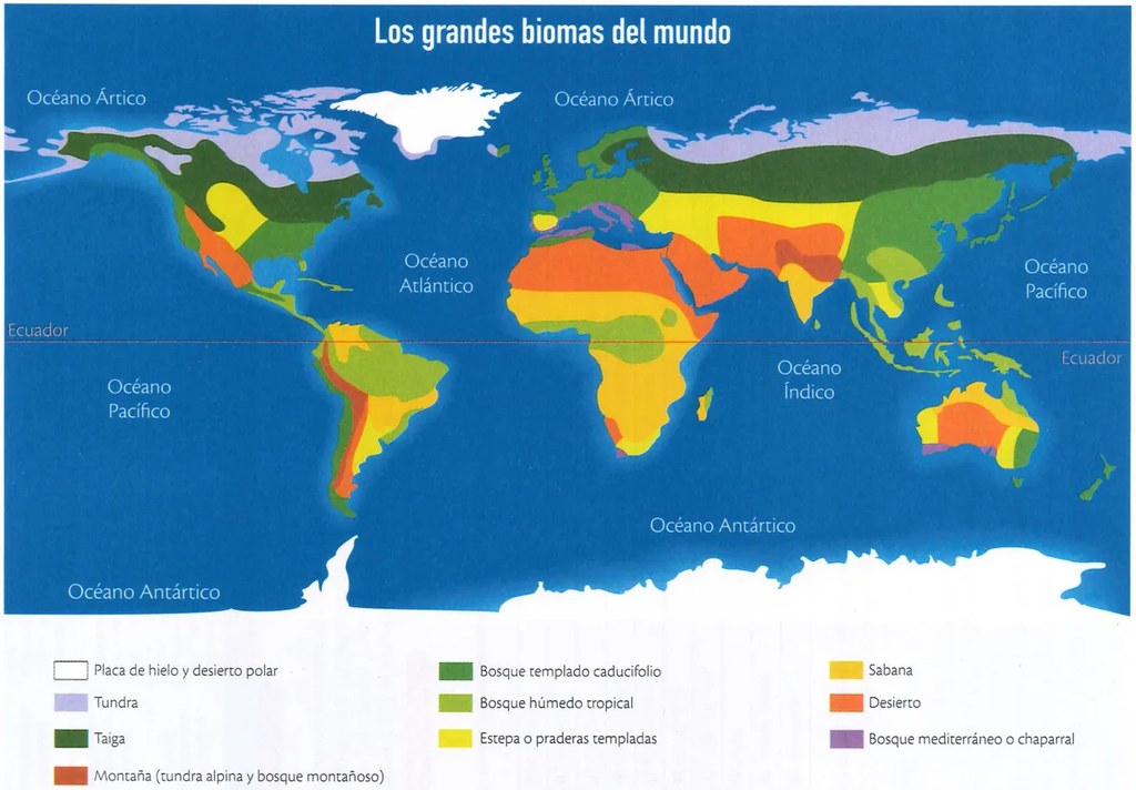 Figura 2 de Ciencias Naturales · 9 EGB · 2024