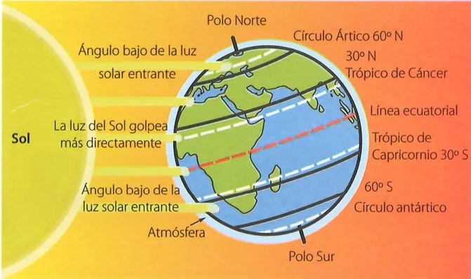Figura 2 de Ciencias Naturales · 7 EGB · 2024