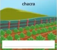 Figura 7 de Lengua Y Literatura · 5 EGB · 2024