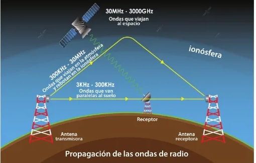 Figura 2 de Ciencias Naturales · 6 EGB · 2025