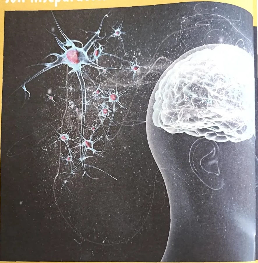 Continuación de la ilustración de neuronas y cabeza humana con cerebro luminoso (asociada al título de la unidad).