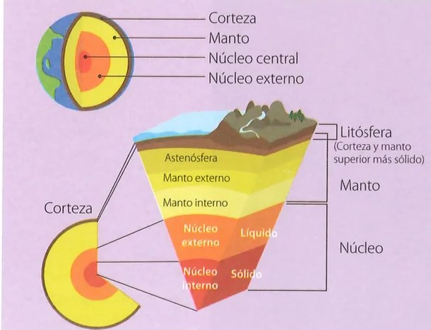 Figura 3 de Ciencias Naturales · 7 EGB · 2024