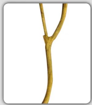 Figura 6 de Yachakuqkunapa Simi Qullqa. Ayakuchu Chanka Qichwa simipi · 2014
