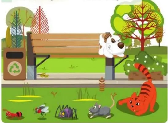 Parque con perro, gato, hormiga, mosca, araña, ratón.