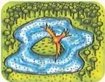 Búho 'Vamos a conceptualizar'.