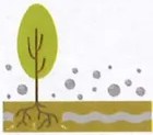 Figura 5 de Ciencias Naturales · 9 EGB · 2024