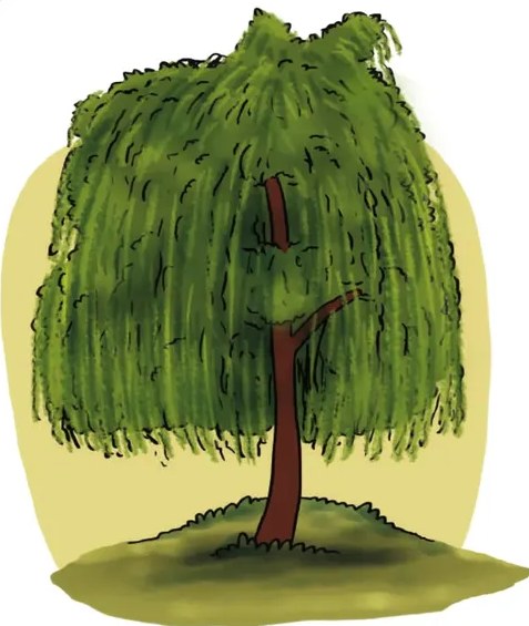 Ilustración de un árbol de aguacate: copa frondosa redondeada verde oscuro y dos frutos verdes en pera en el primer plano.
