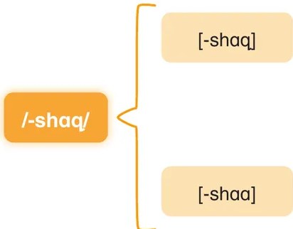 Recuadro de texto con fondo lila/rosado que contiene el paradigma completo de conjugación del verbo mikuy en tiempo futuro. Los sufijos -shaq aparecen resaltados en rojo/naranja en las formas de primera persona.
