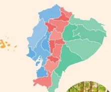 Figura 1 de Estudios Sociales · 6 EGB · 2025