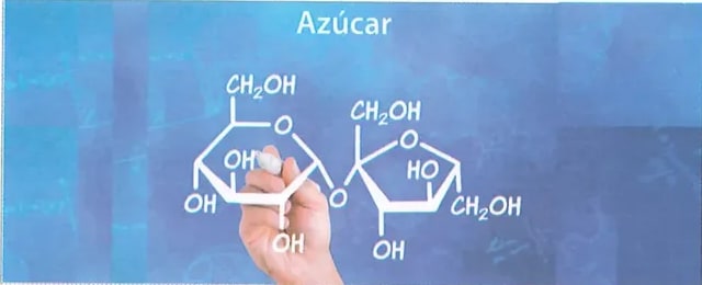 Figura 3 de Ciencias Naturales · 8 EGB · 2025