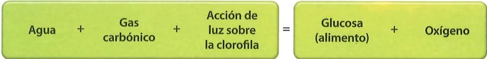 Figura 4 de Ciencias Naturales · 7 EGB · 2024