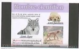 Figura 1 de Ciencias Naturales · 8 EGB · 2025
