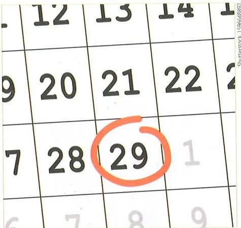 Figura 2 de Matematica · 8 EGB · 2025