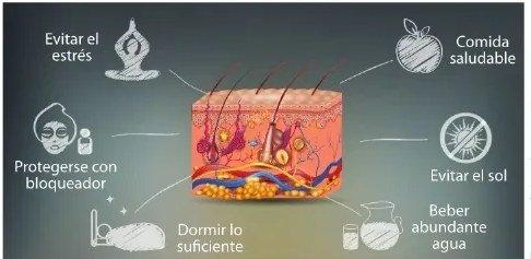 Figura 4 de Ciencias Naturales · 6 EGB · 2025