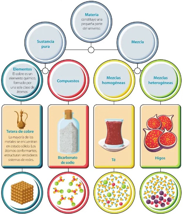 Figura 2 de Ciencias Naturales · 6 EGB · 2025
