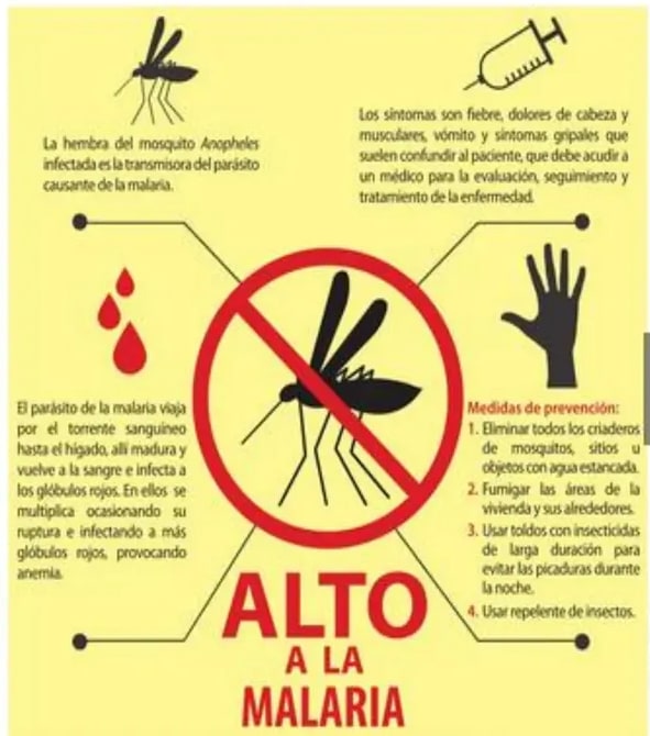 Figura 3 de Ciencias Naturales · 5 EGB · 2024