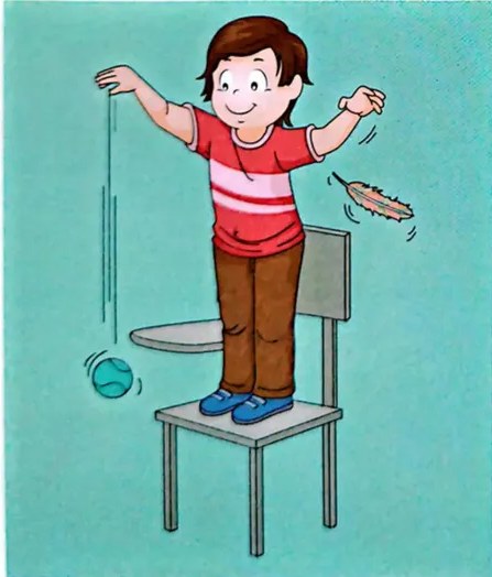 Figura 3 de Ciencias Naturales · 4 EGB · 2025
