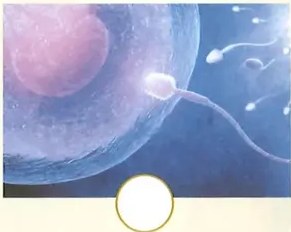 Figura 3 de Ciencias Naturales · 2 EGB · 2025